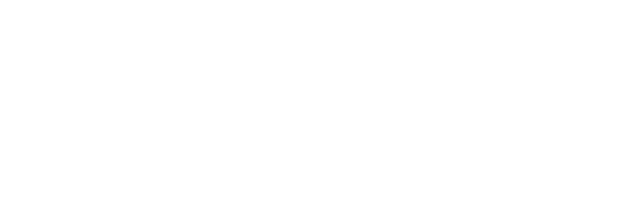 Global Leadership Network